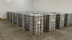 frigorifico de almacenamiento de paltas