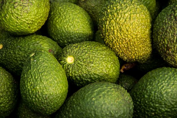 alergias alimentarias