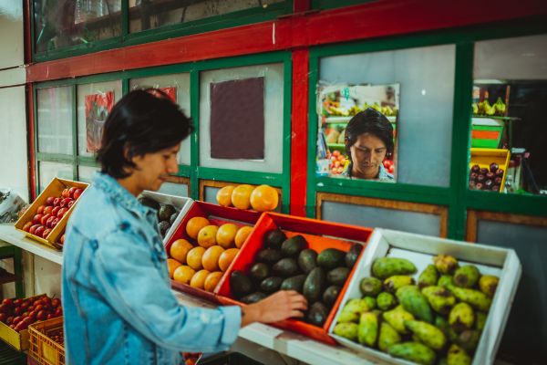 reducir el desperdicio de paltas